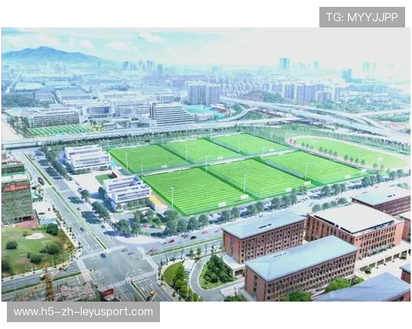 2026年足球青训基地设备采购与验收公示更新，青少年足球训练基地