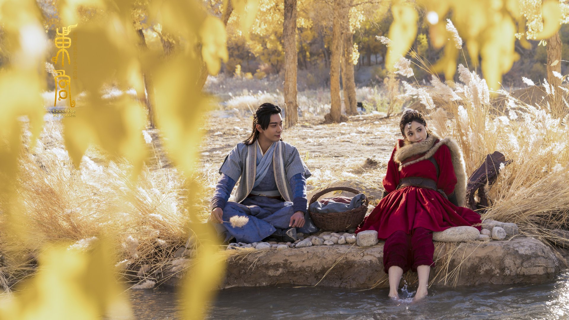 2024年德国队的精彩表现：从逆境到顶峰的蜕变，2024德国欧洲杯赛程