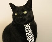 CBA球队加快引入战术分析技术，cba球队增加