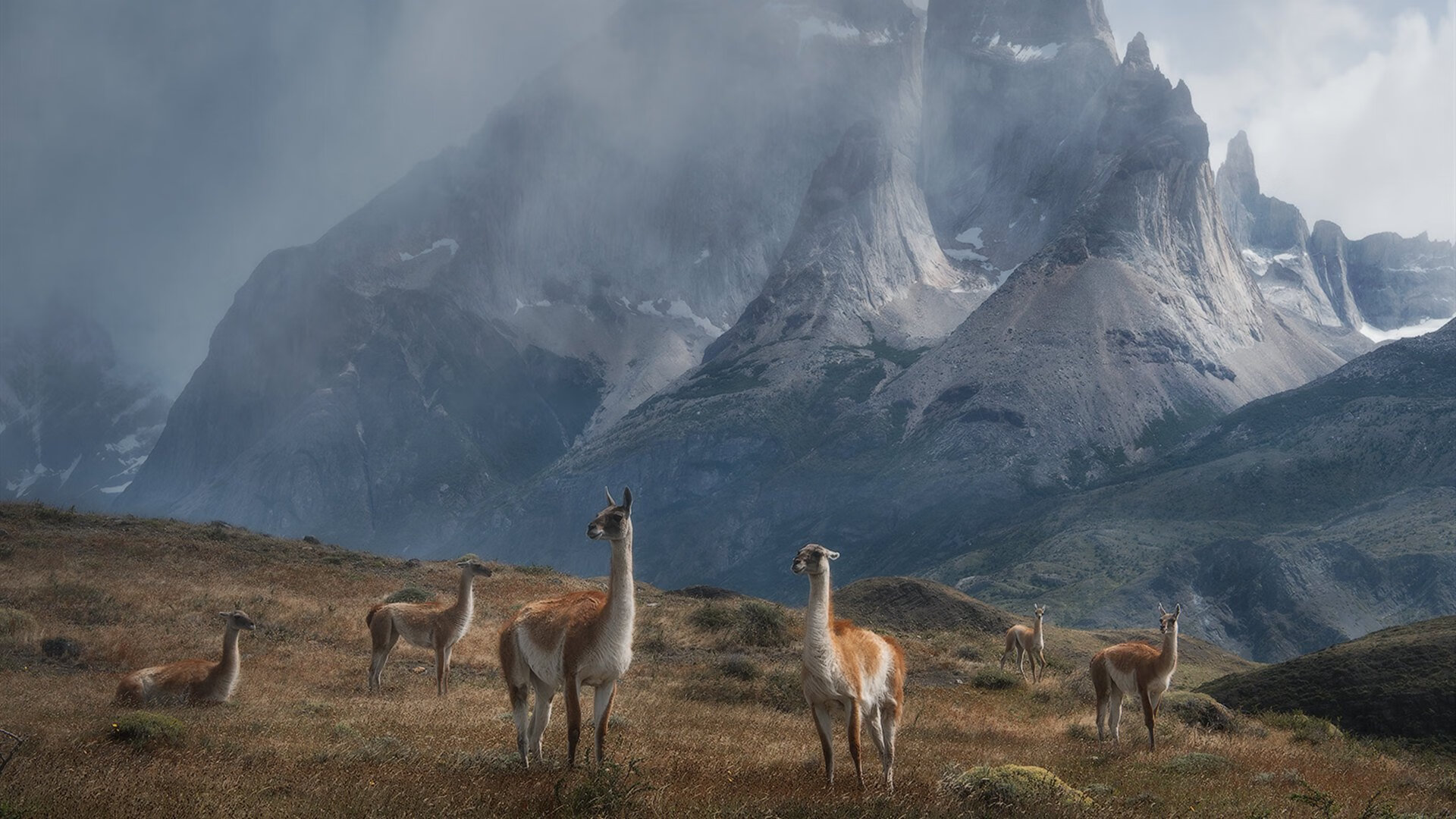 世界杯 中国青年队复仇 跌宕时刻令人动容，世界杯,中国队